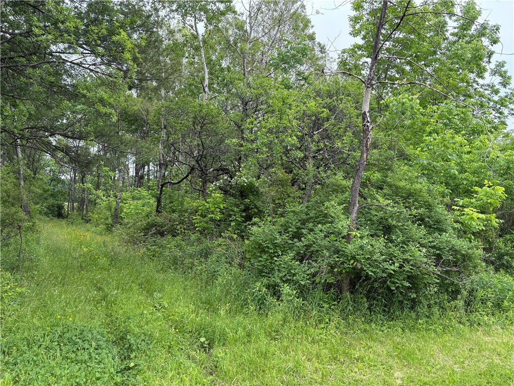 Property Photo: 0 County Road 23 NY 14891