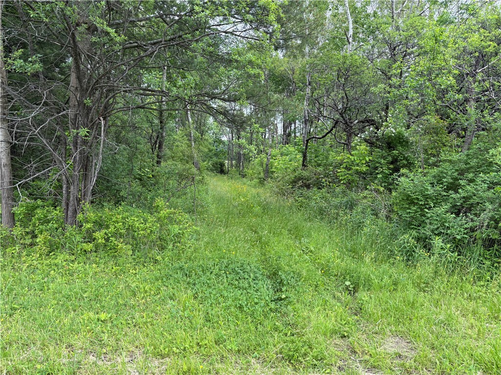 Property Photo:  0 County Road 23  NY 14891 