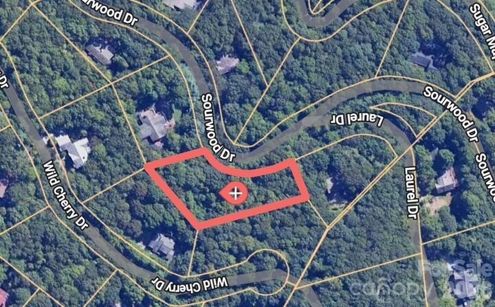 Property Photo:  47 Sourwood Drive 197  NC 28759 