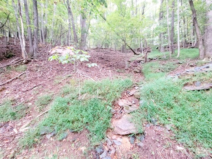 Property Photo: 47 Sourwood Drive 197 NC 28759