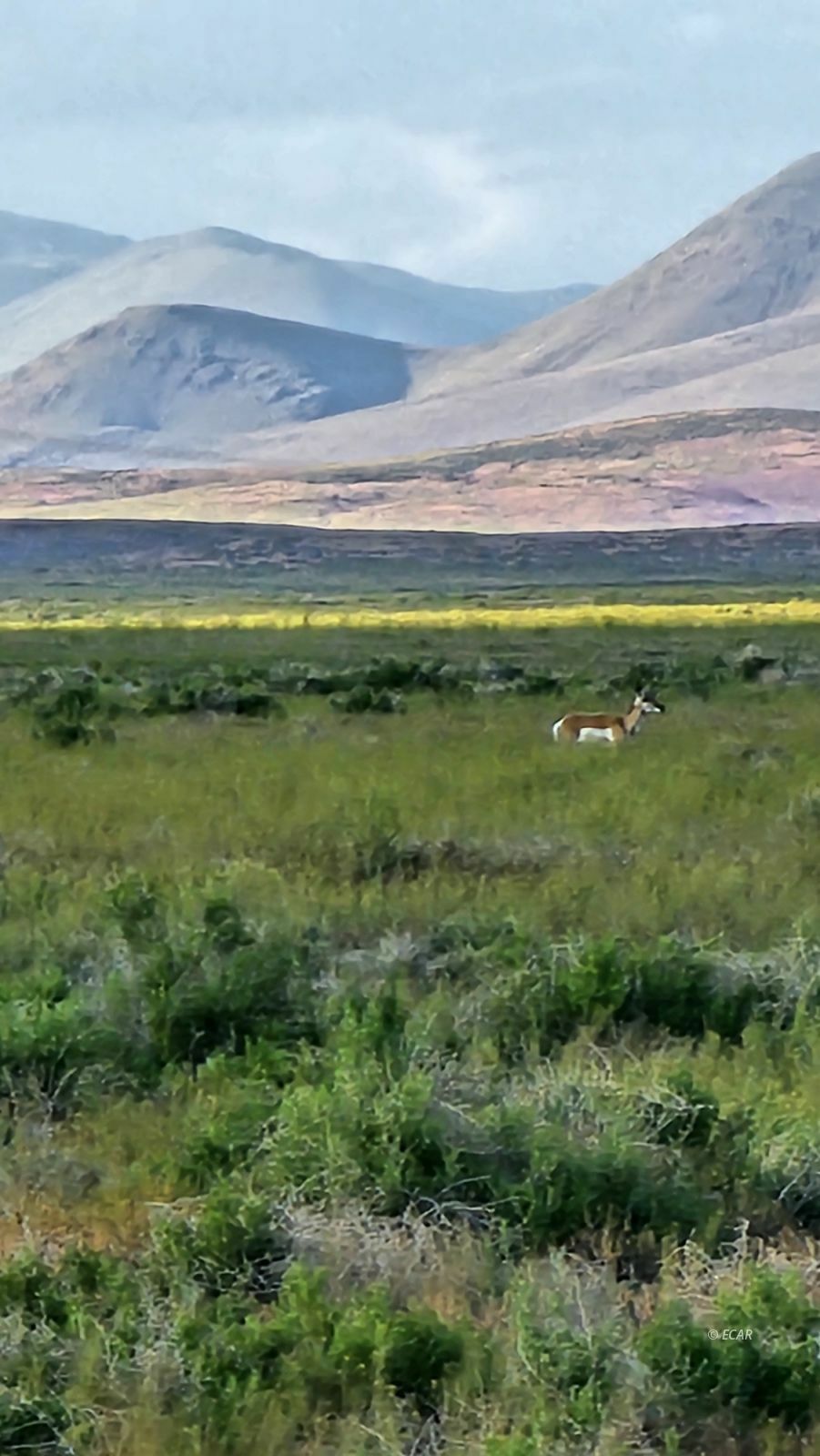 Property Photo: 400 Cold Spring Point Road NV 89821