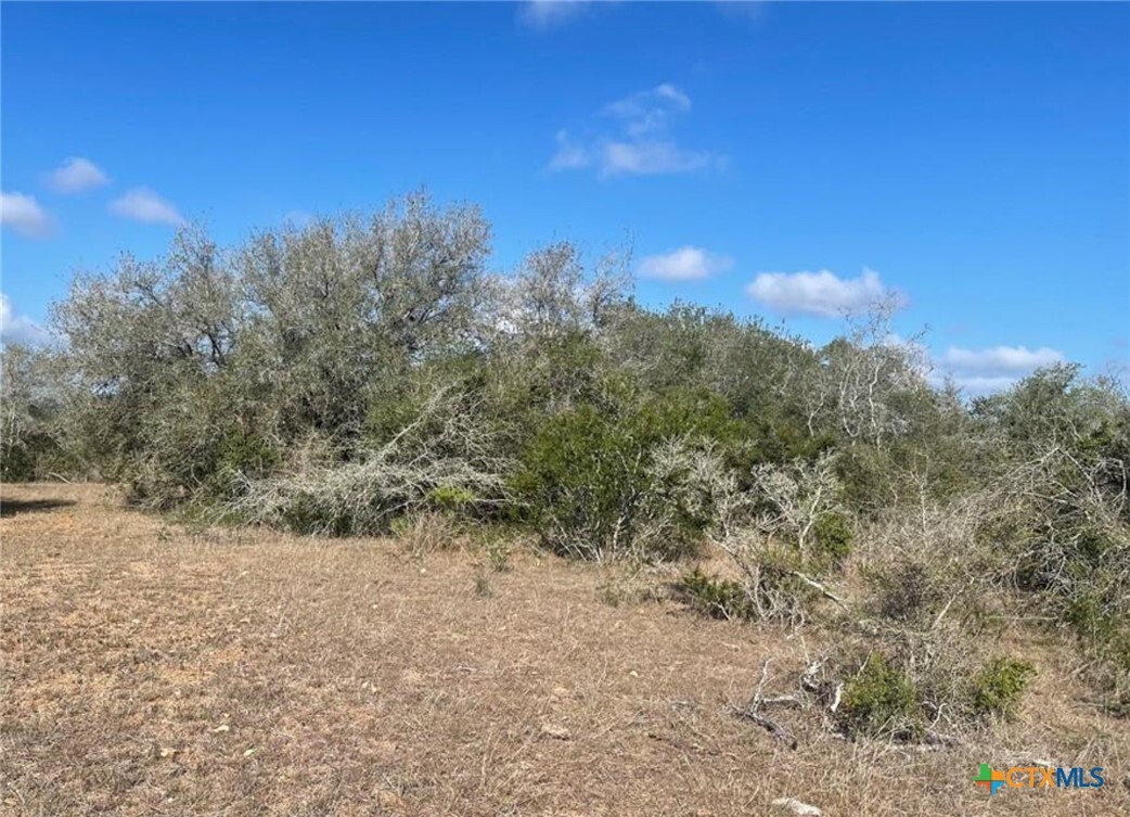 Property Photo:  3626 Old Goliad Road  TX 77963 