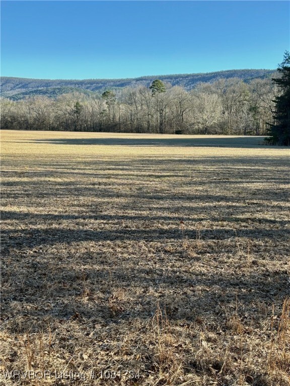 Property Photo: Tbd Lot 2 Rocky Road OK 74939