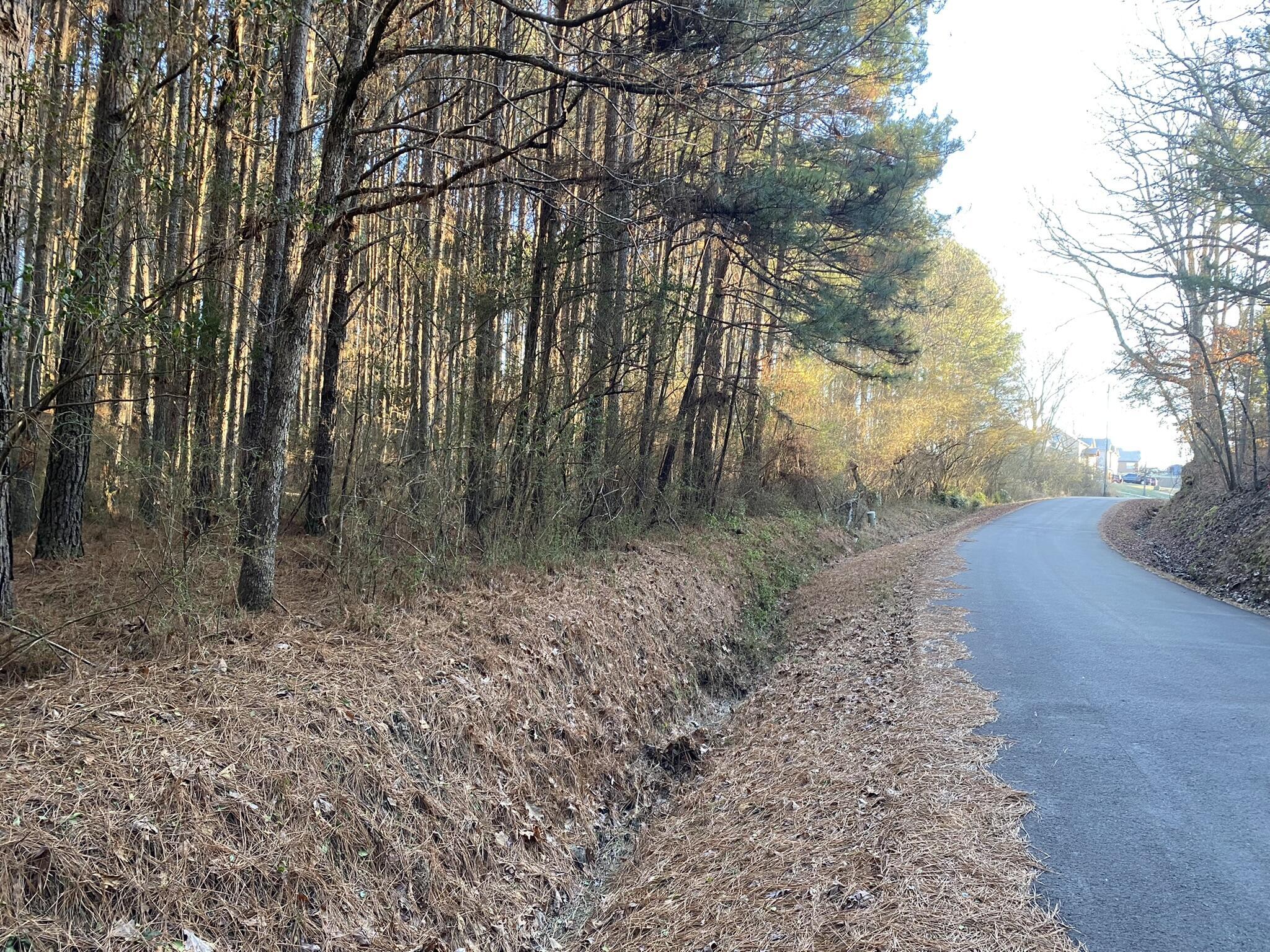 Property Photo: 1645 Billingsley Road TN 37379