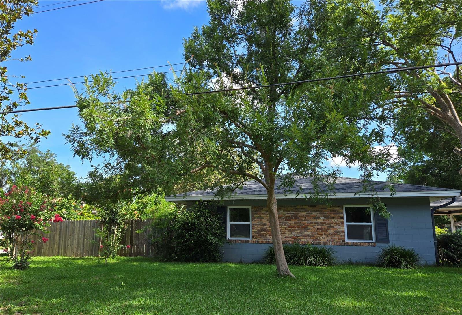 3709 NE 4th Street  Ocala FL 34470 photo