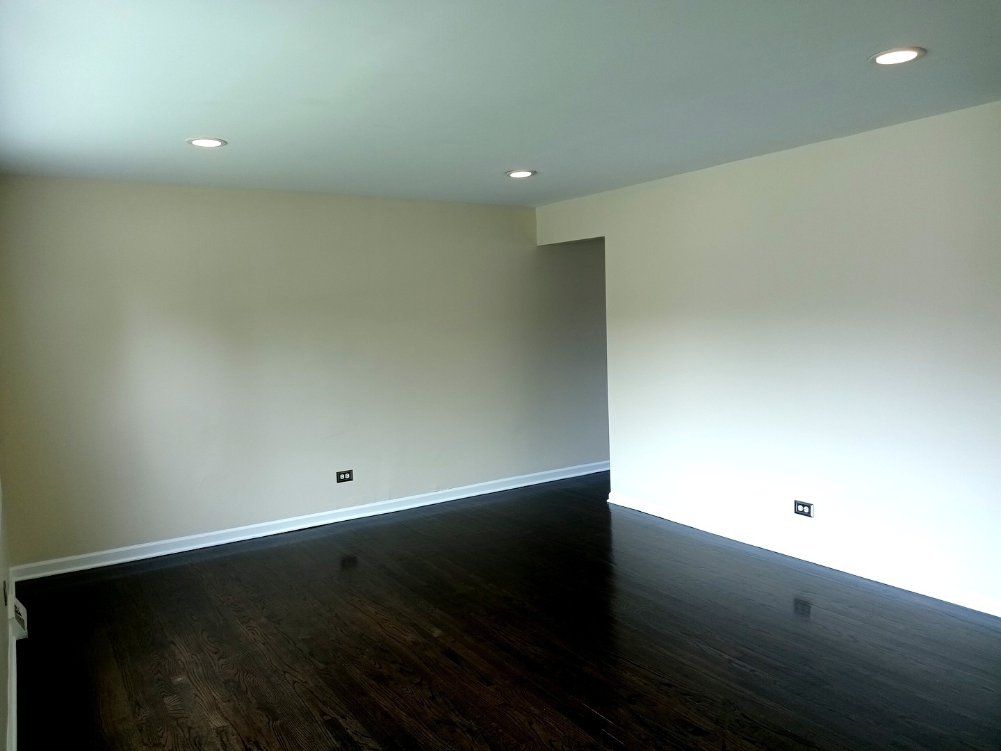 Property Photo: 242 S Cherry Street IL 60143