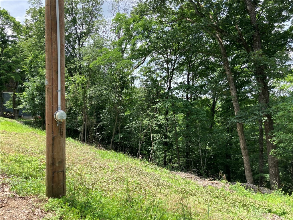 Property Photo: 259 Holiday Island Drive AR 72631