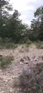 Property Photo:  0 Tall Pine Trail  AZ 86303 