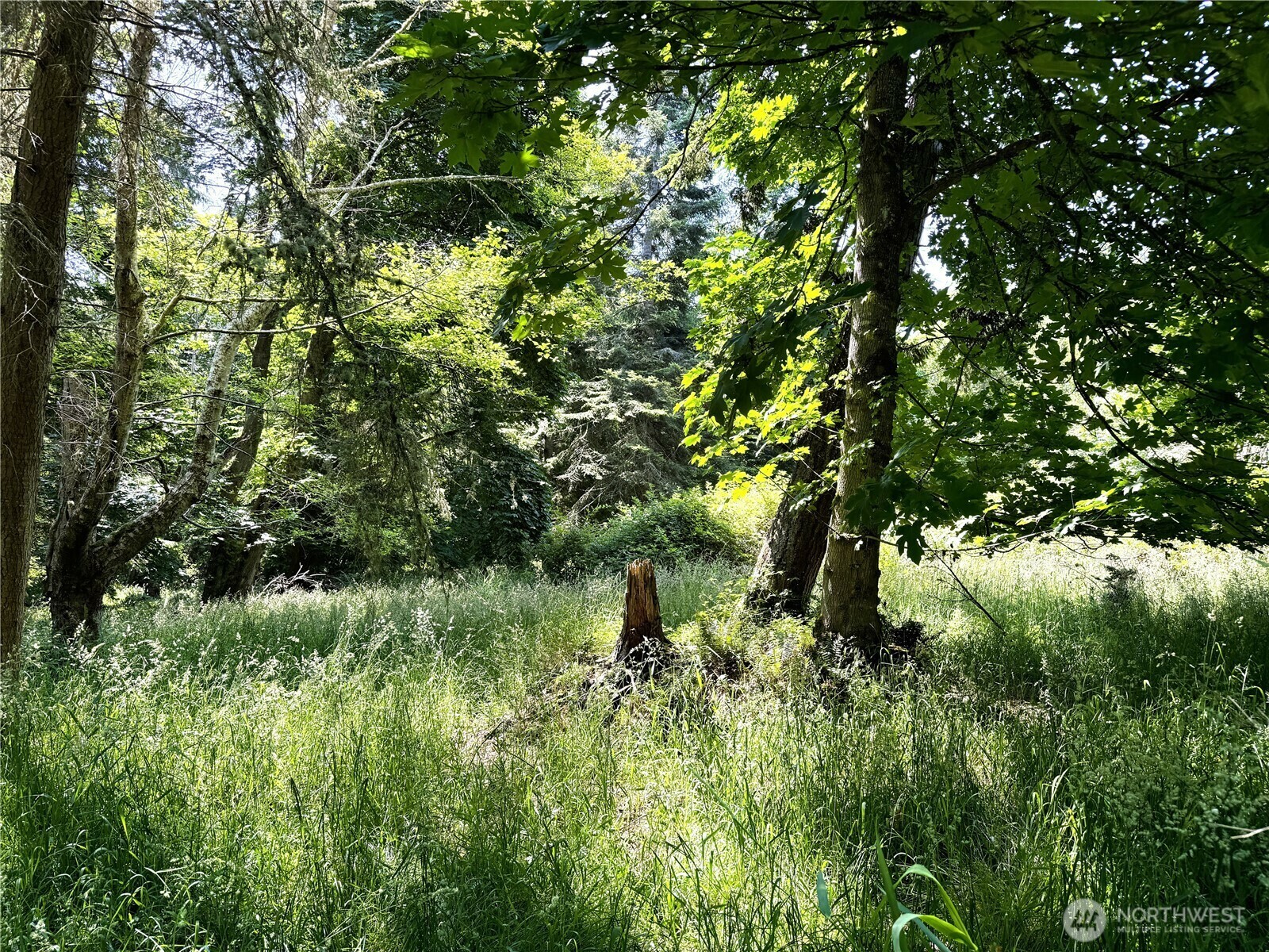 Property Photo: 0 Davis Beach Road WA 98221