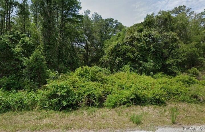 Property Photo:  9296 N Black Oak Way  FL 34428