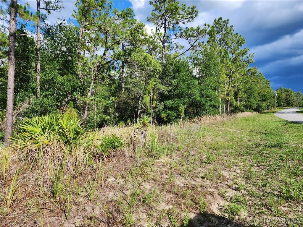 Property Photo: 11107 N Mataro Avenue FL 34434