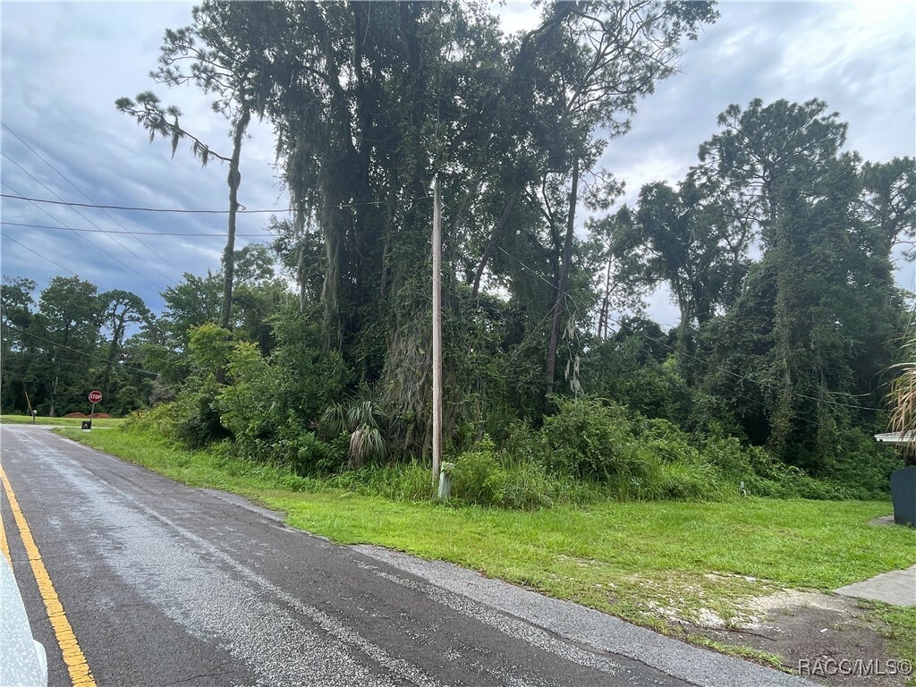 Property Photo: 4422 S Rainbow Drive FL 34452