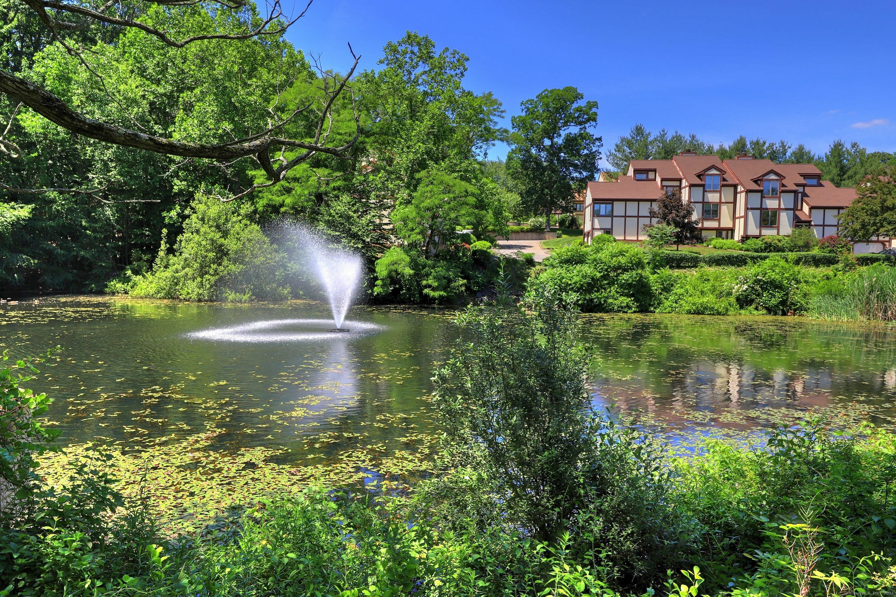 Property Photo: 690 Forest Road 394 CT 06516