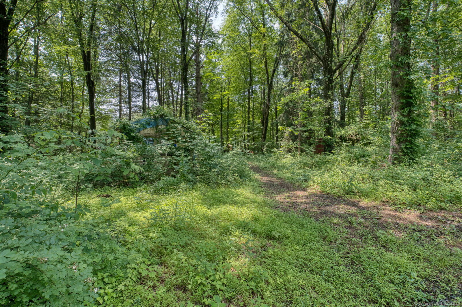 Property Photo: Edgewood Road CT 06037