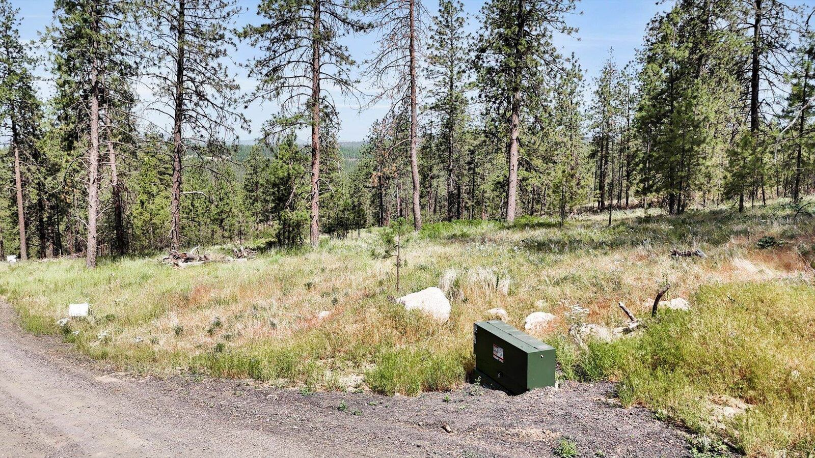 Property Photo:  Nka Lower Weaver Lot C Way  WA 99006 