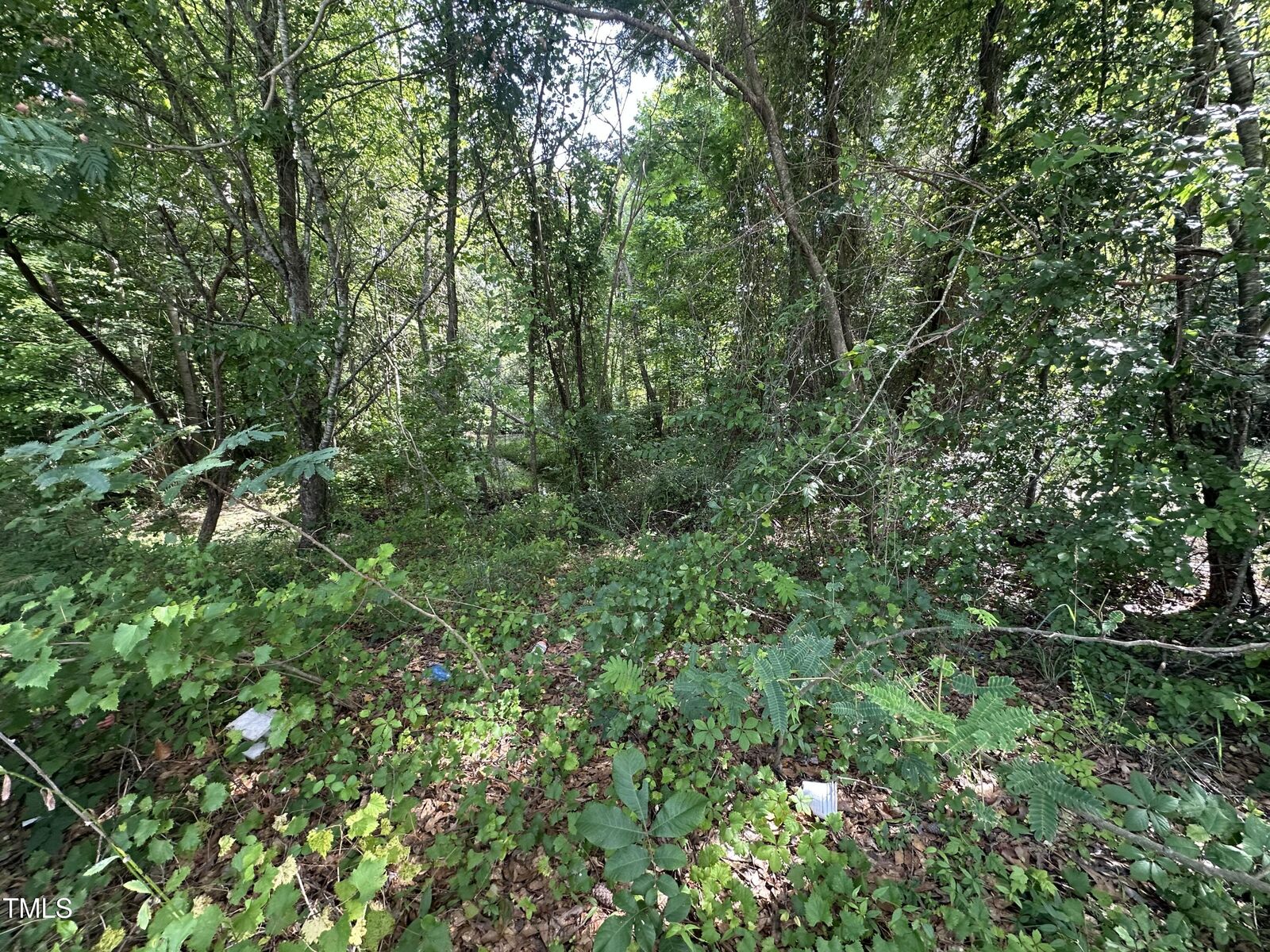 Property Photo: 322 Courtland Drive NC 27501