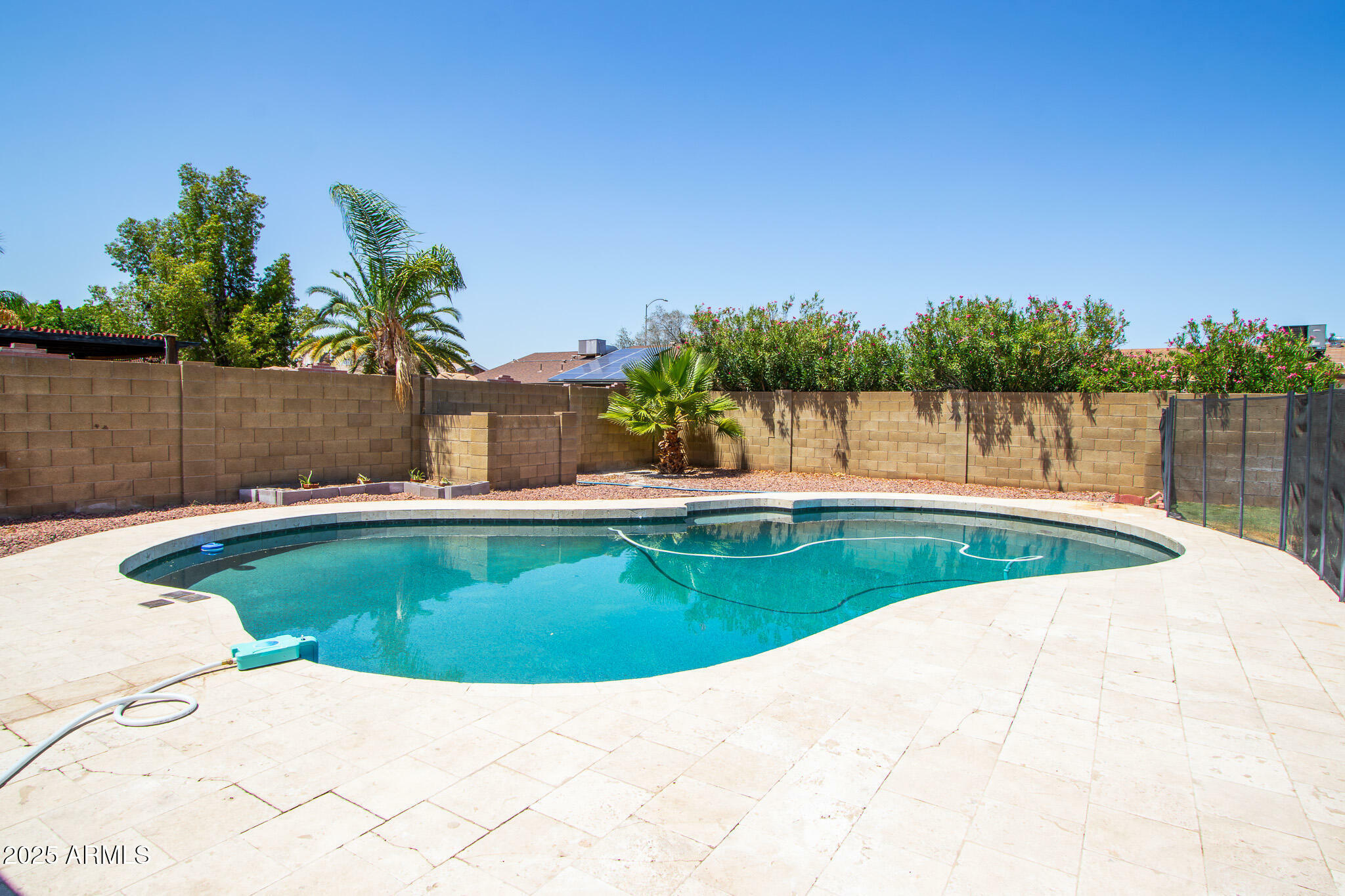 Property Photo:  2338 E Javelina Avenue  AZ 85204 