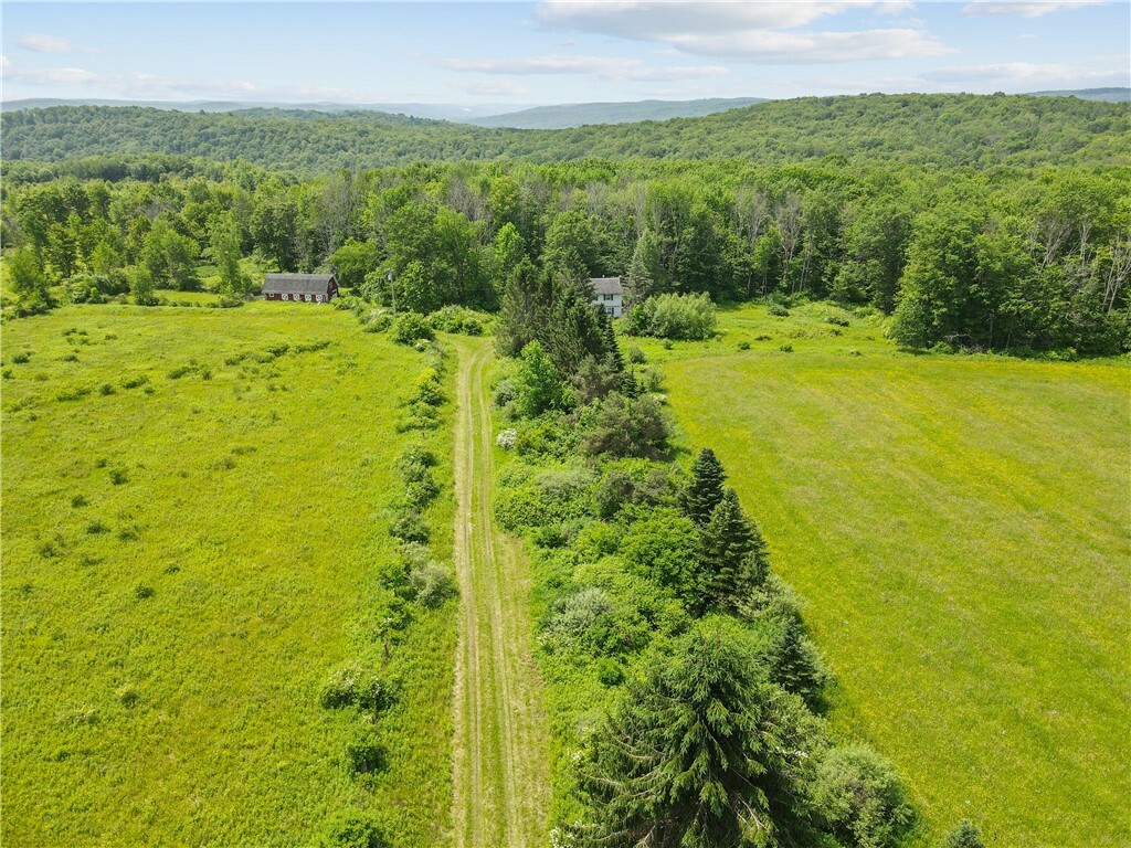 90 Parsons Hill Road  Berkshire NY 13736 photo
