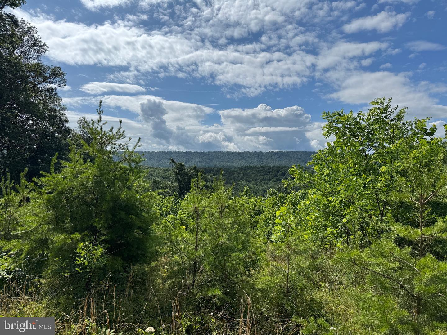 Property Photo: Top Drive WV 26757