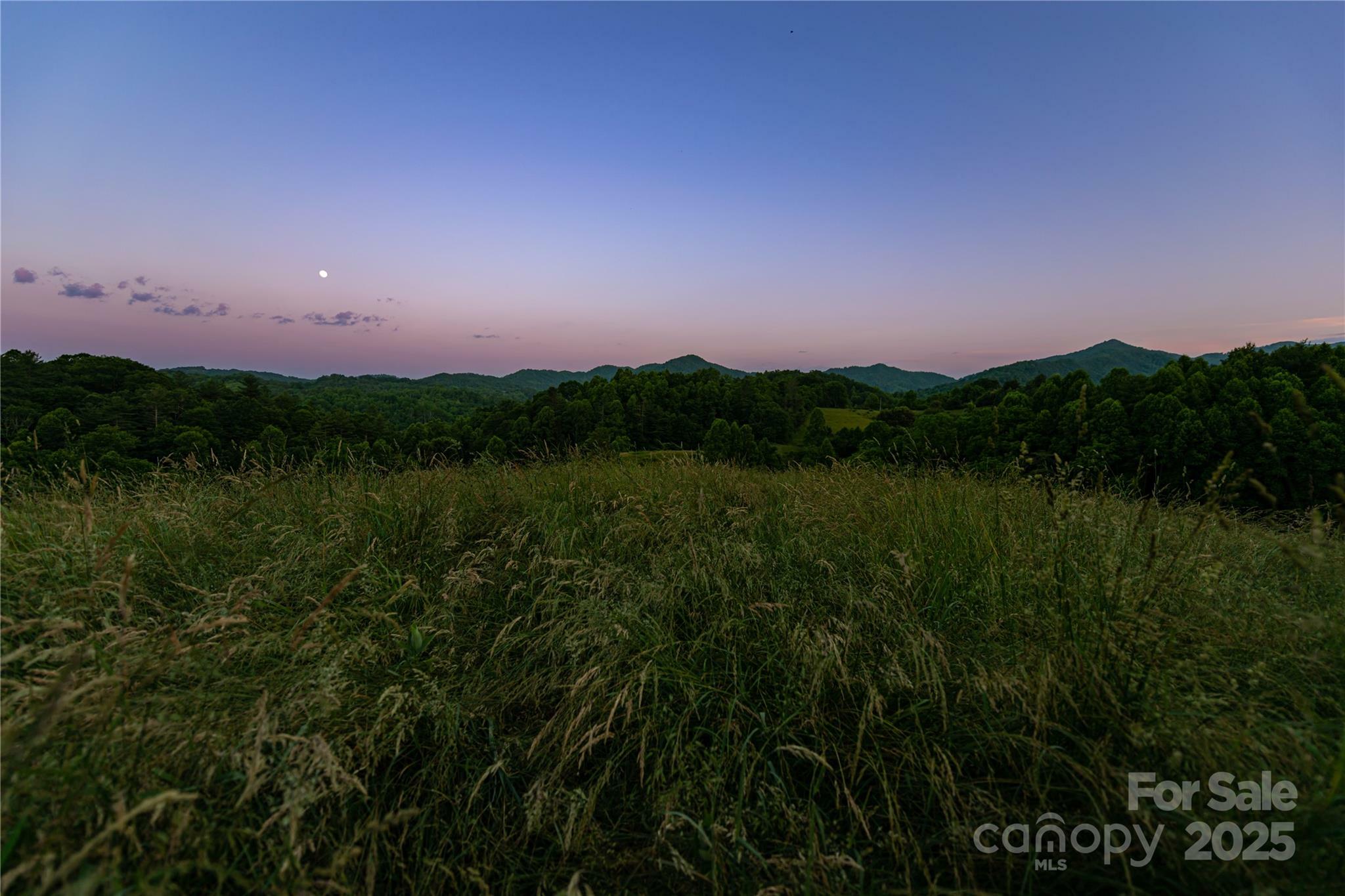 Property Photo: 523 Lower Paw Paw Road NC 28753