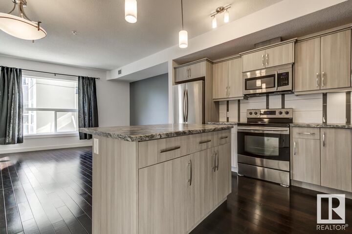 10523 123 Street NW 219  Edmonton AB T5N 1W9 photo