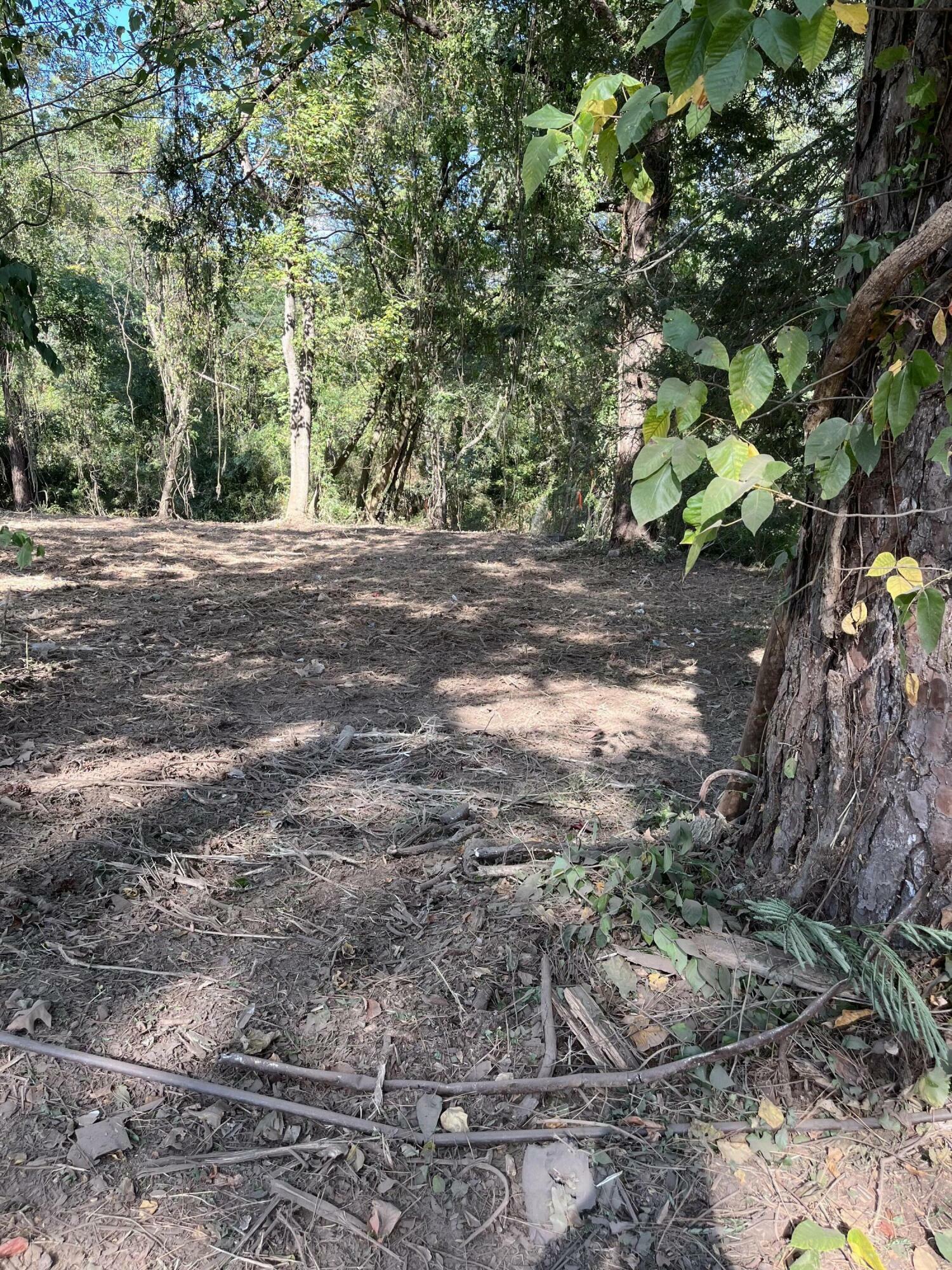 Property Photo:  3713 Shamrock Drive  TN 37406 