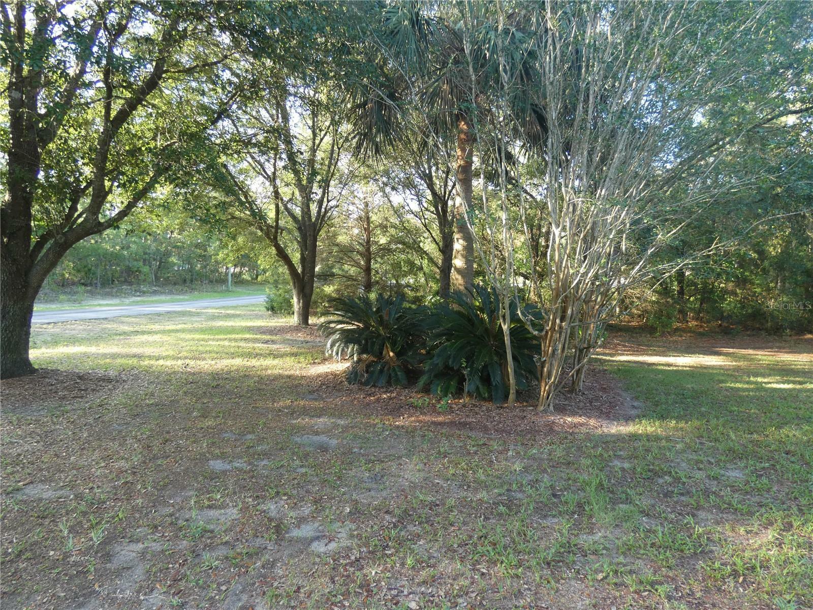 Property Photo: 4622 N Pink Poppy Drive FL 34465