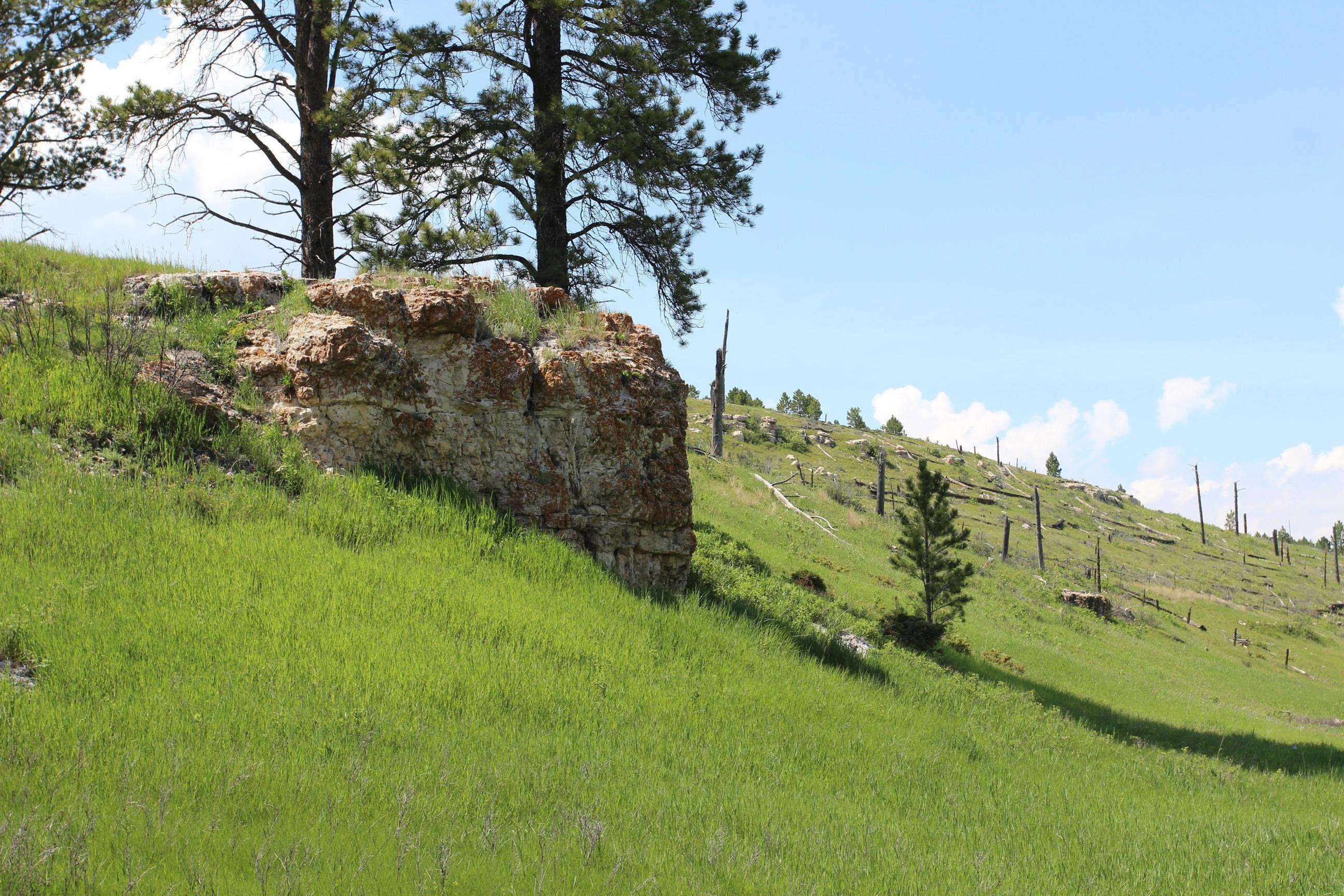 Property Photo: 11246 Custer Limestone Road SD 57730-0000