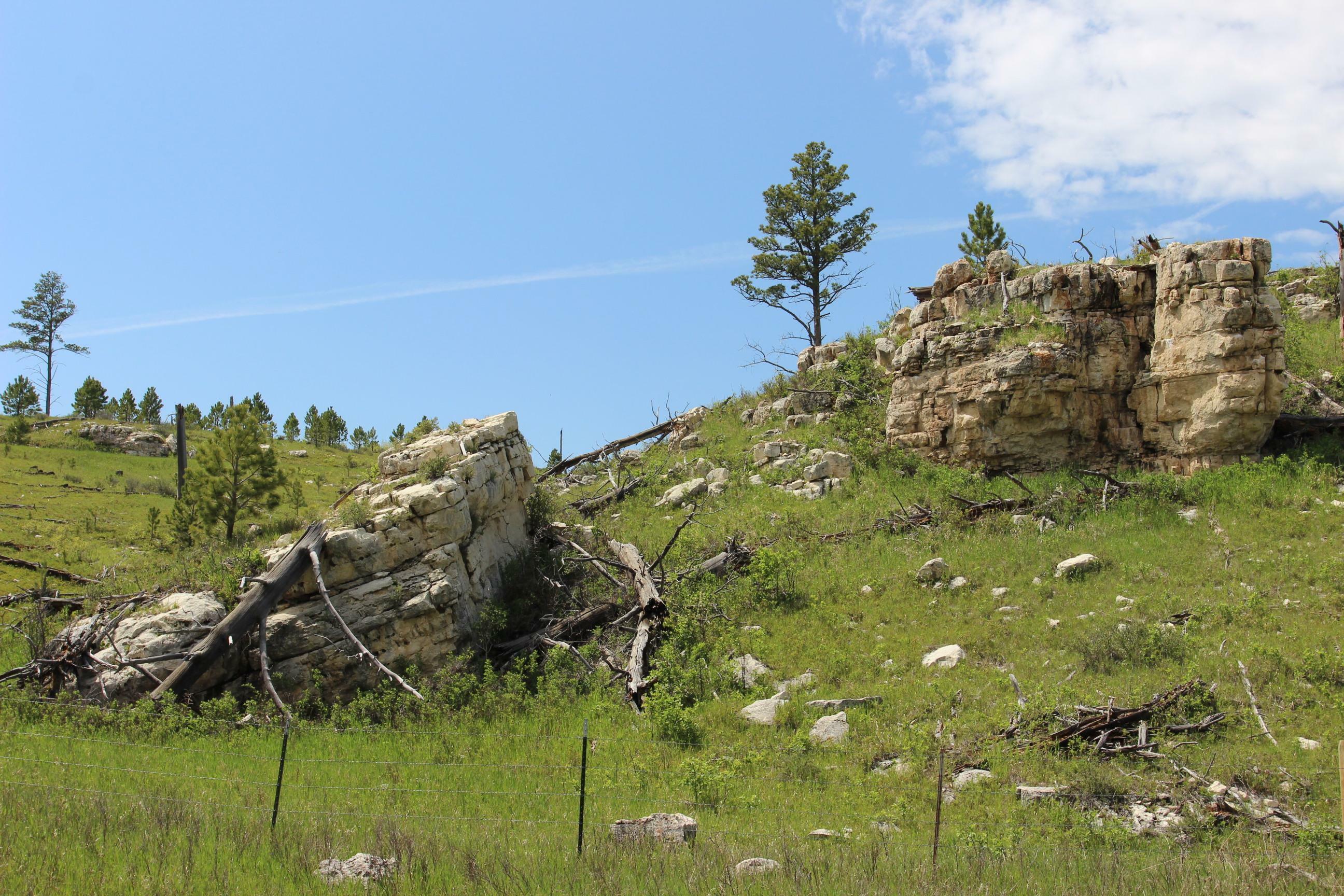 Property Photo: 65.49 Acres Custer Limestone Road SD 57730
