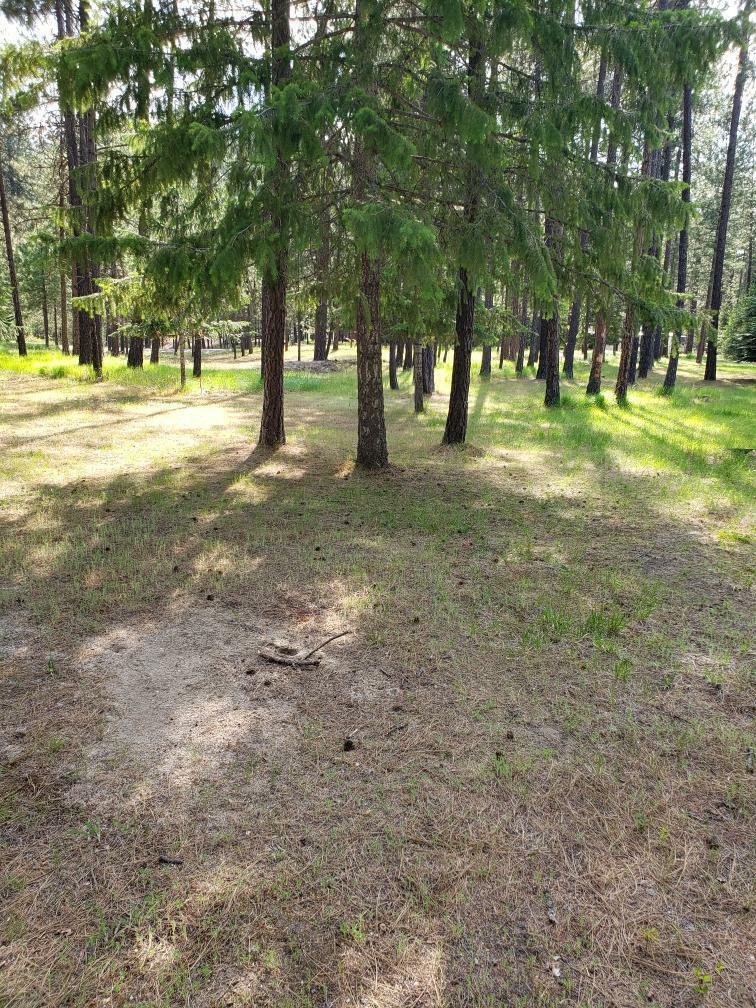 Property Photo: 256 Eagle Dr. Dr WA 99109
