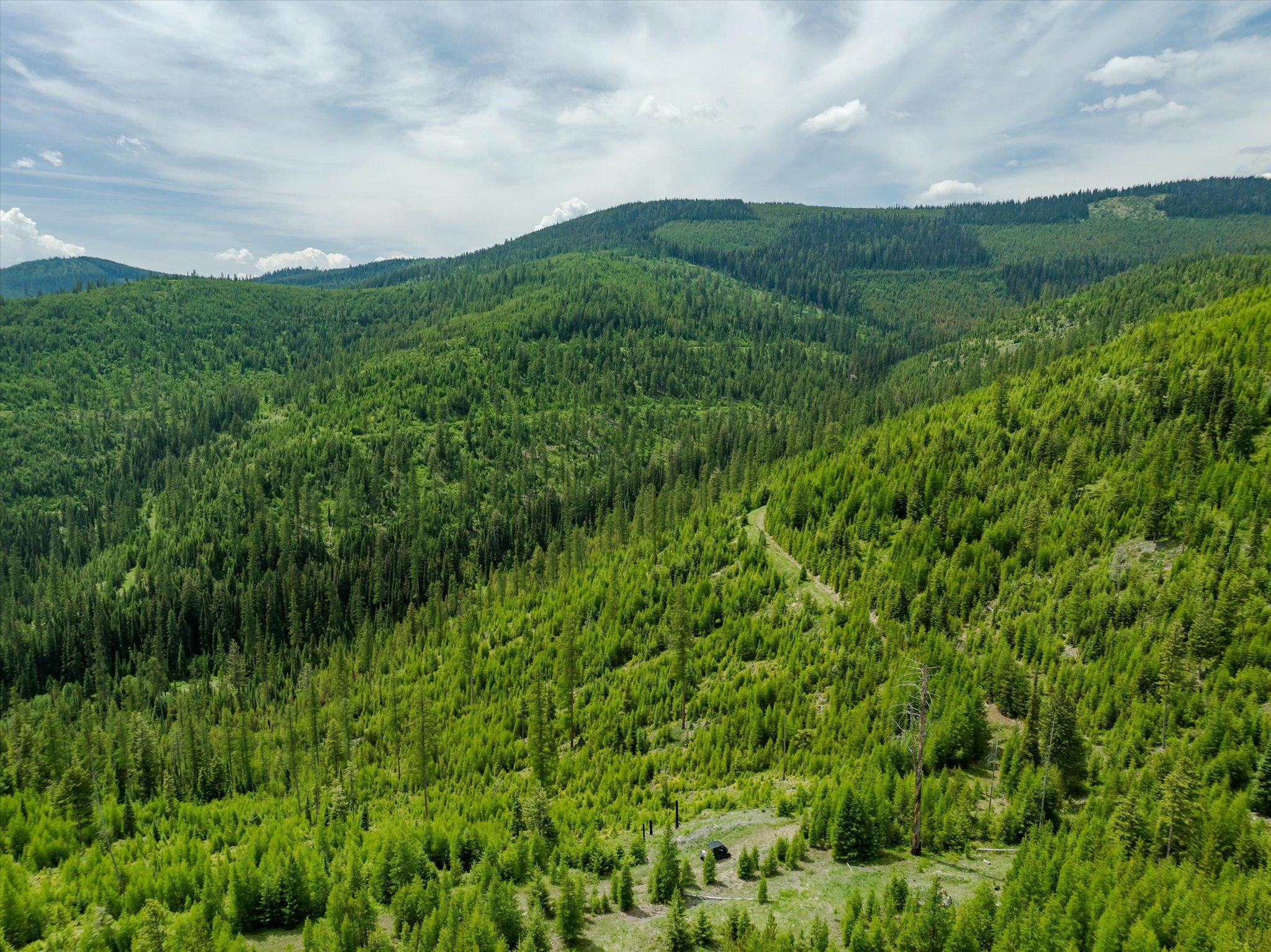Property Photo: Nhn Fish Creek Road MT 59901