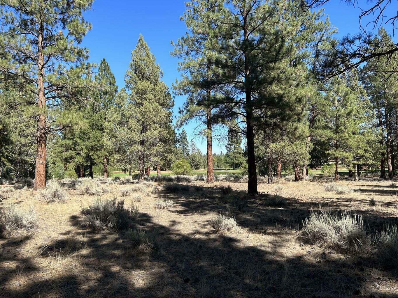 Property Photo: 17167 Caddis Court OR 97759