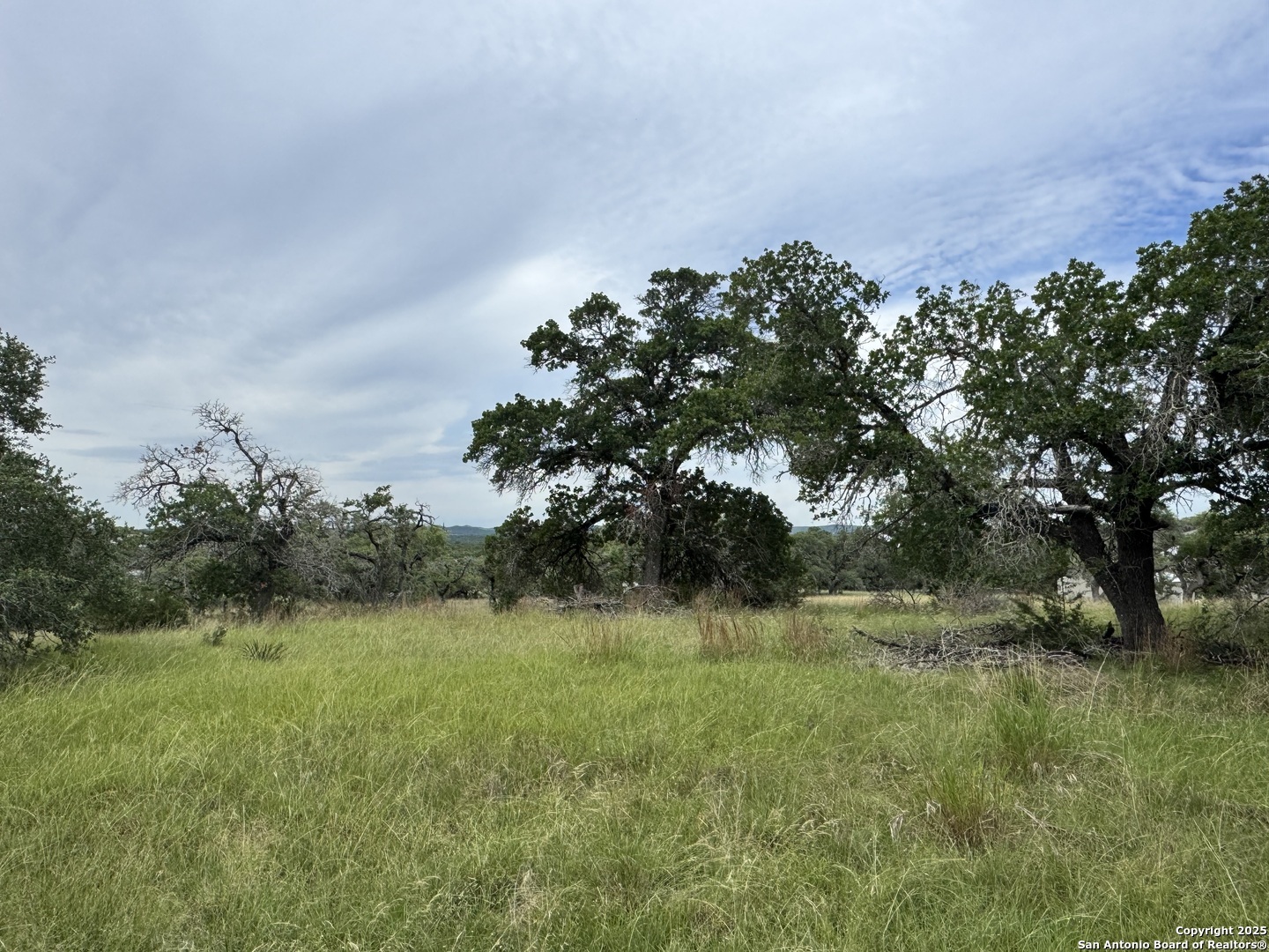 Property Photo: 34776 High Gate TX 78163