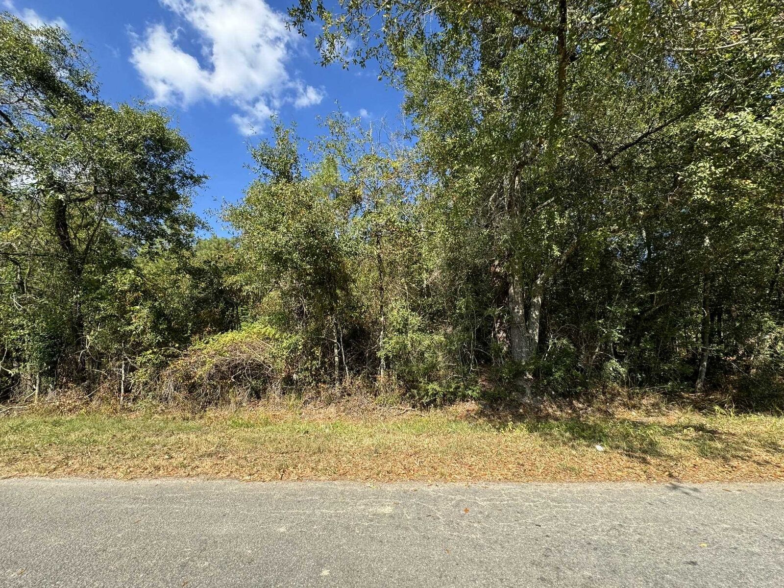 Property Photo: 2343 Linda TX 77632