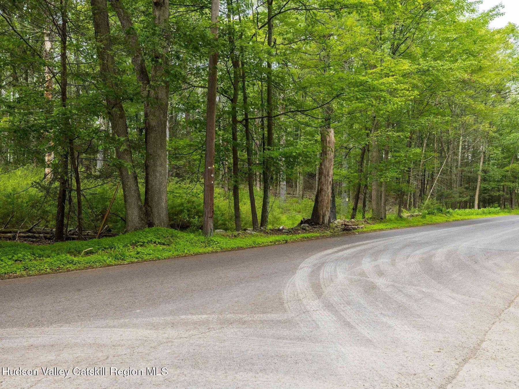 Property Photo: 00 Lot 2 Church Road NY 12409