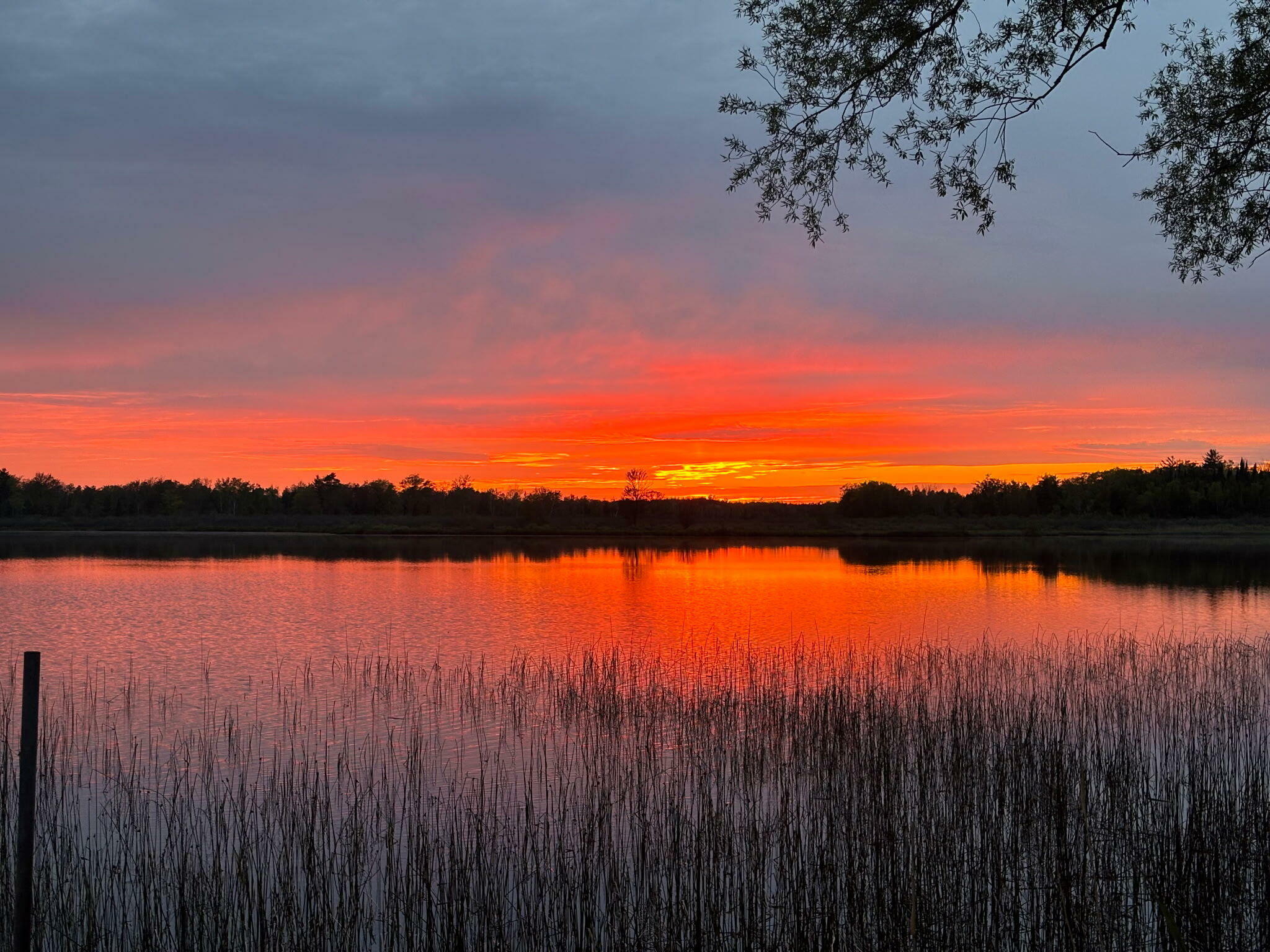 Property Photo: 1632 Lakeview Drive MI 49707
