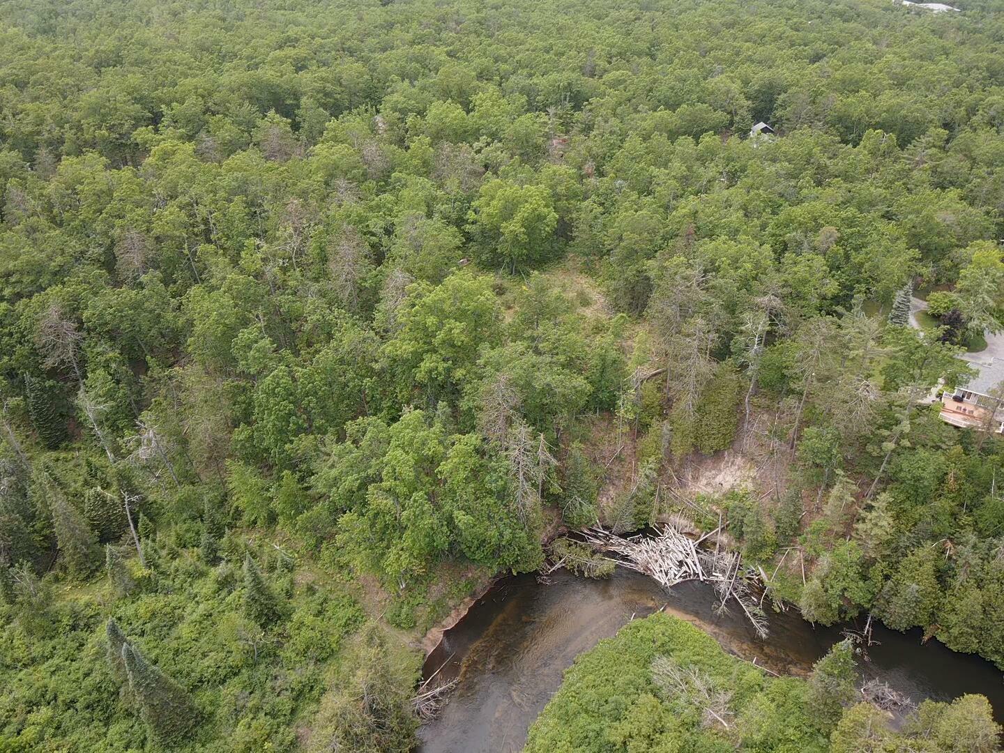 Property Photo: Wilson Road MI 49749