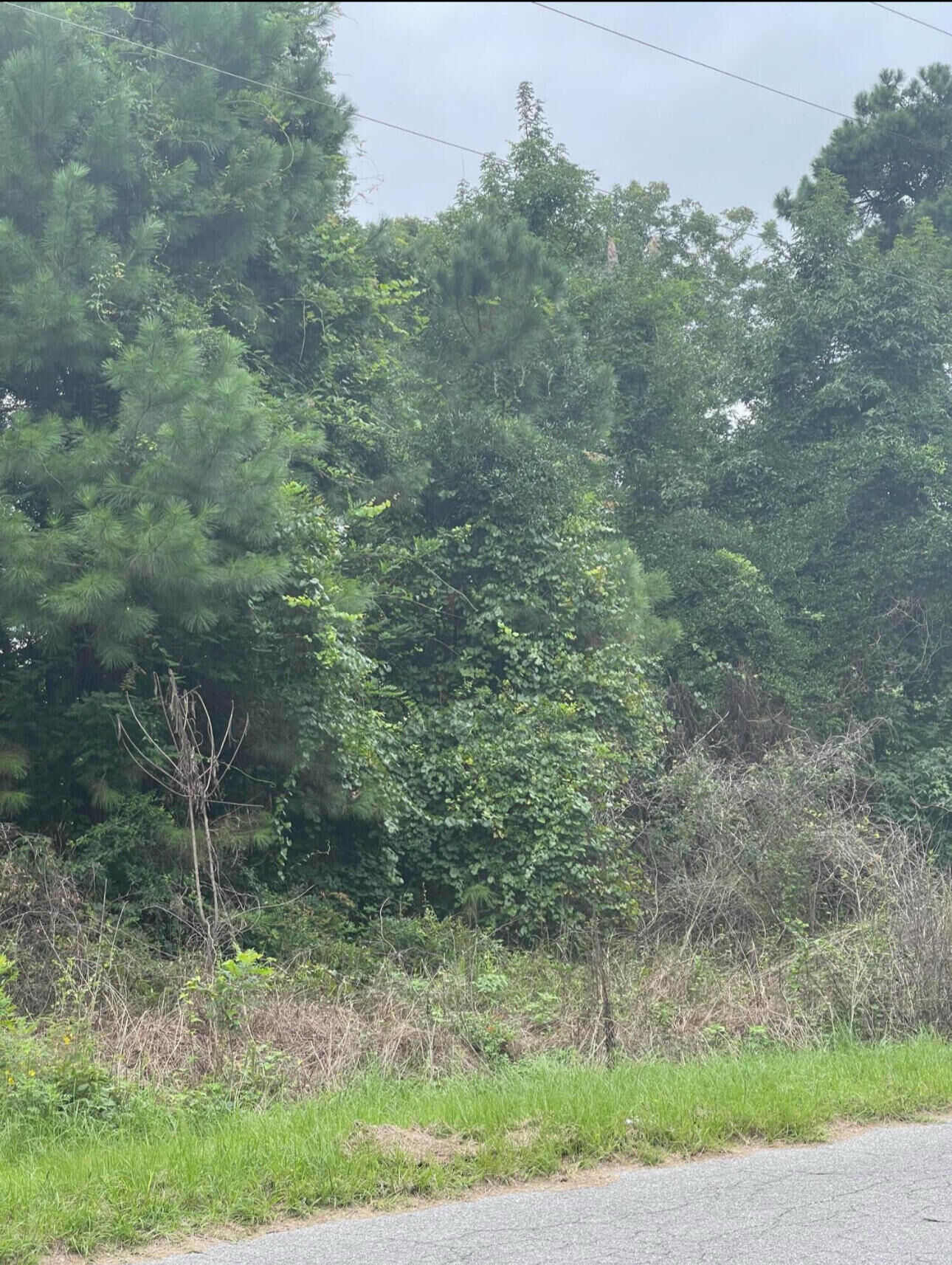 Property Photo:  004 Summers Drive  SC 29483 