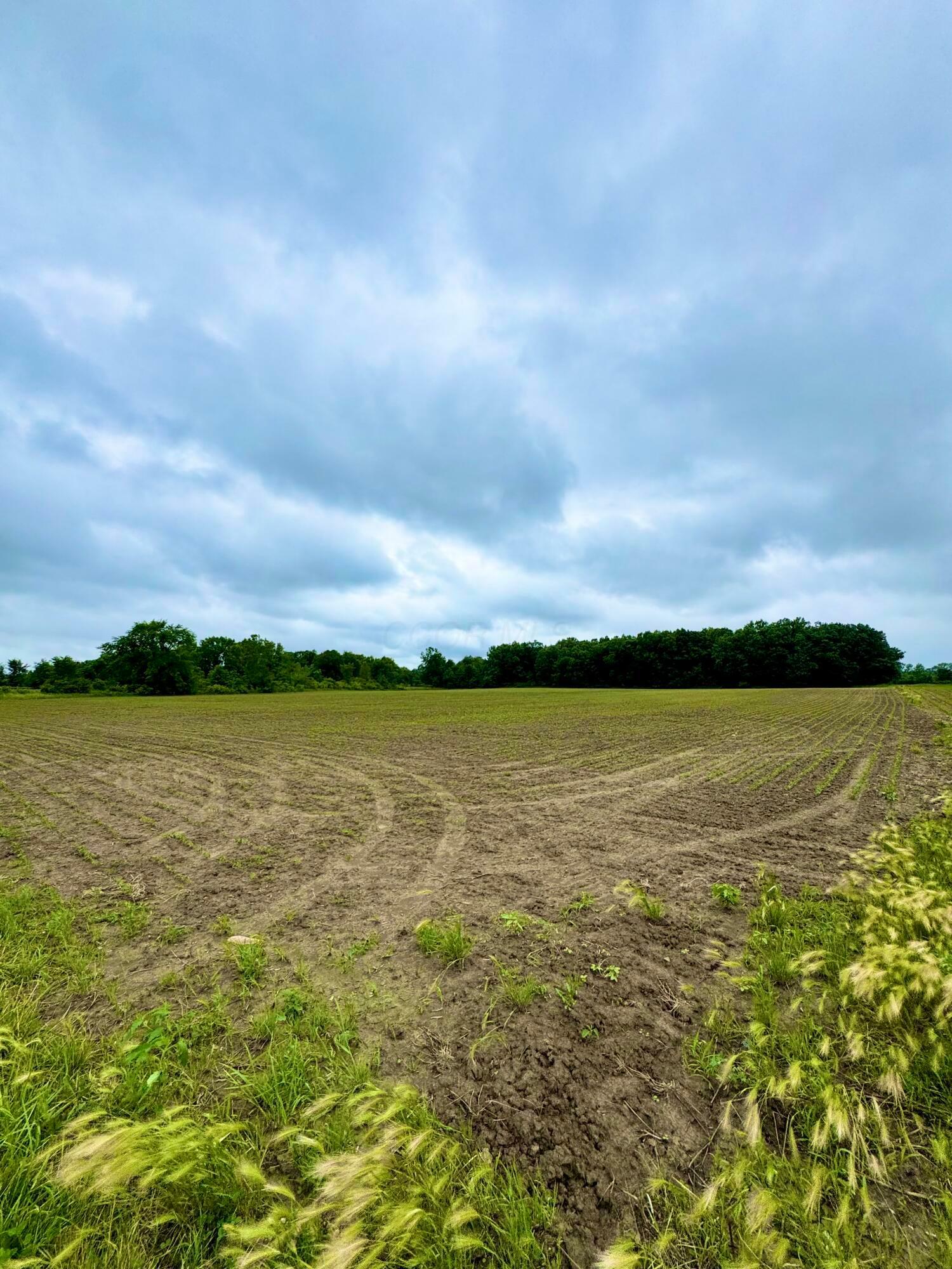 Property Photo: 0 Dry Lane N Road OH 43332