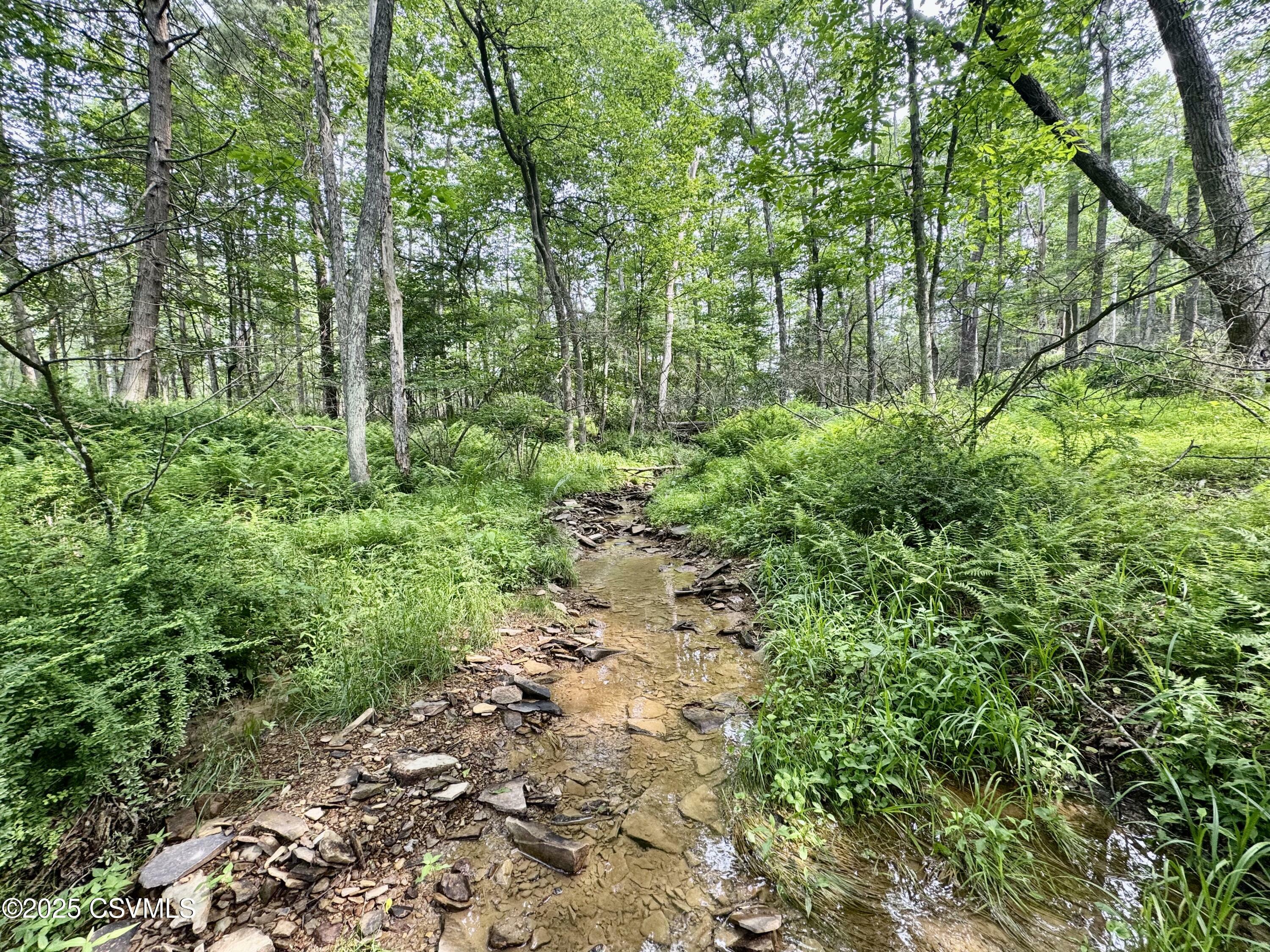 Property Photo: Hollow Road PA 17846