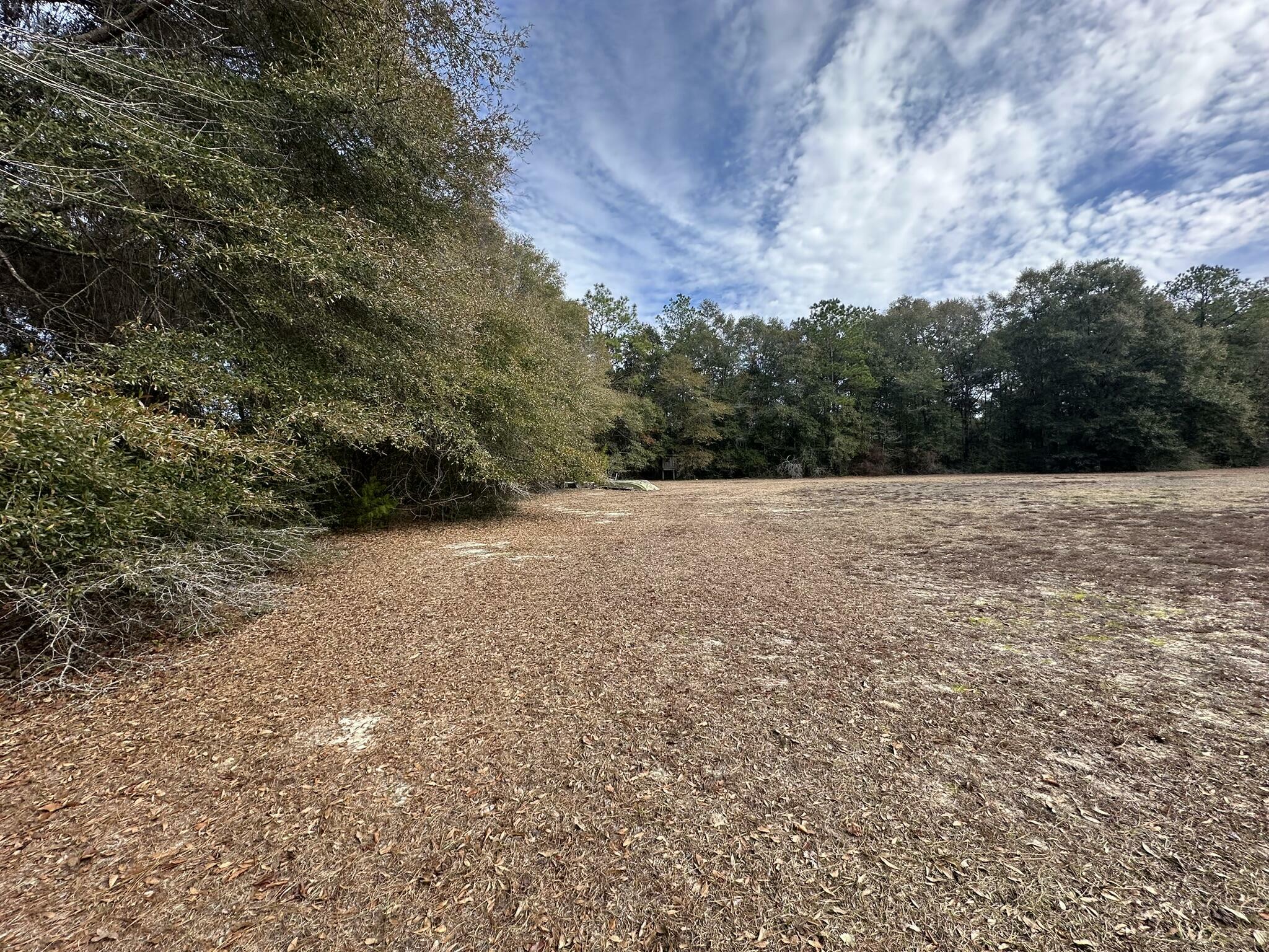 Property Photo: 4 Lots Pineforest/Woodcliff/Oakcrest FL 32539