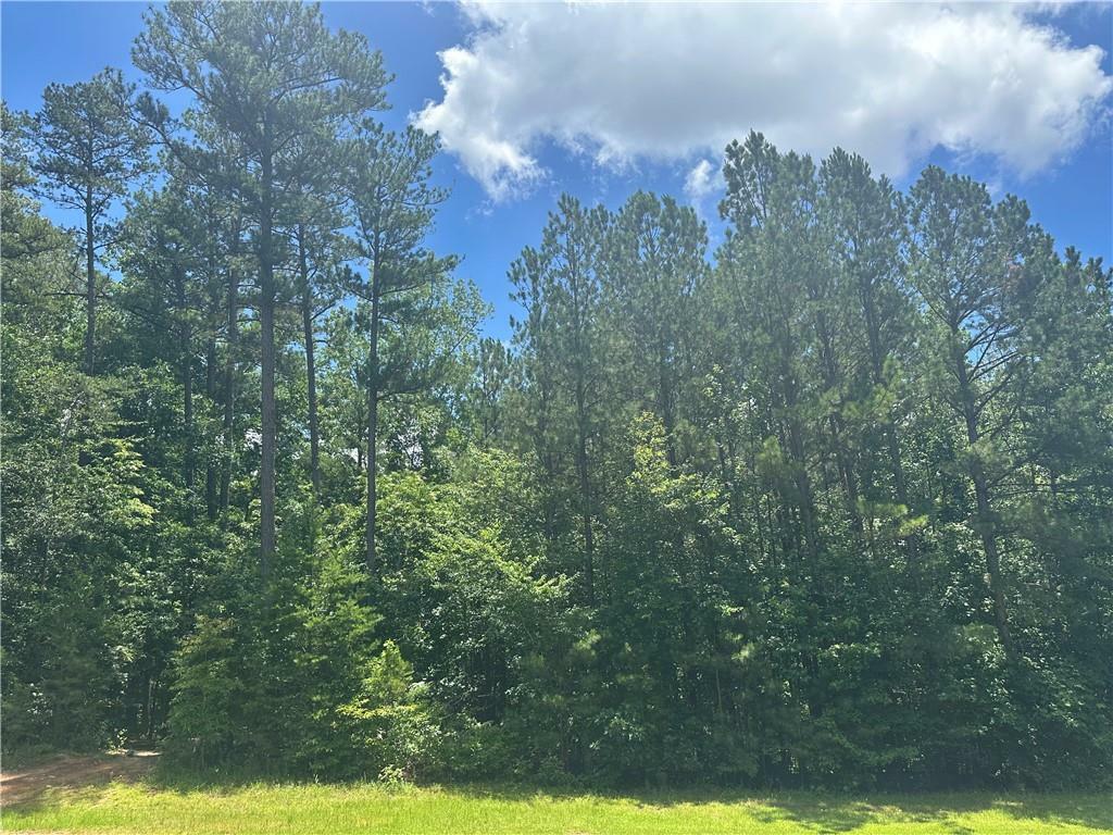 Property Photo: 0 Elsberry Mountain Road GA 30132