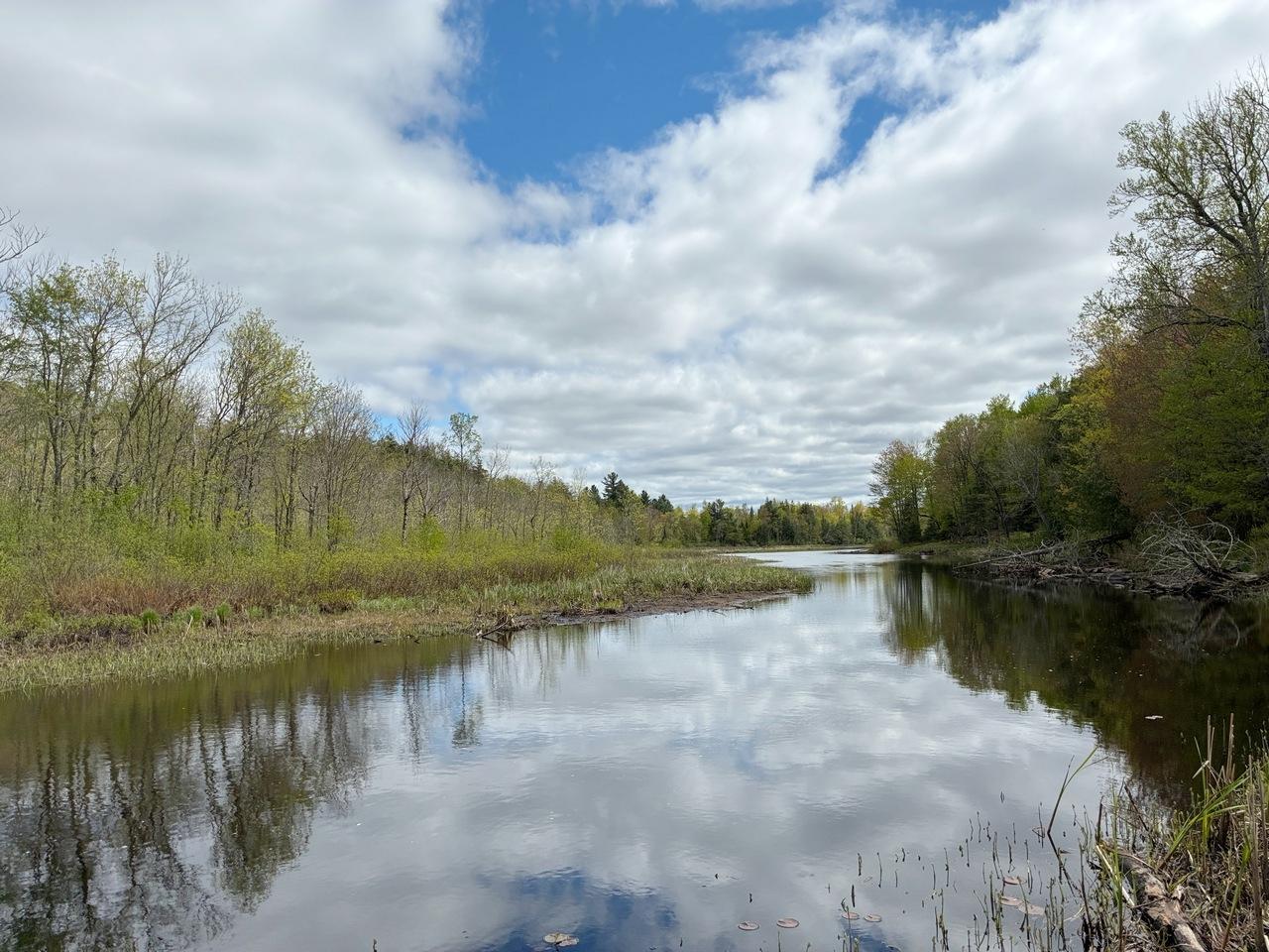 Property Photo: 6310 Bambiland Rd WI 54547