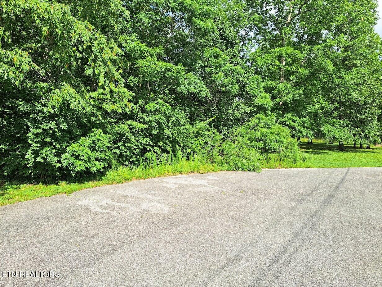 Property Photo: Bear Den - Lot 21 TN 38571