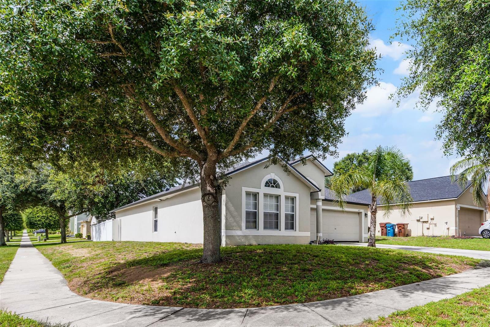 Property Photo: 447 Hammerstone Avenue FL 33844