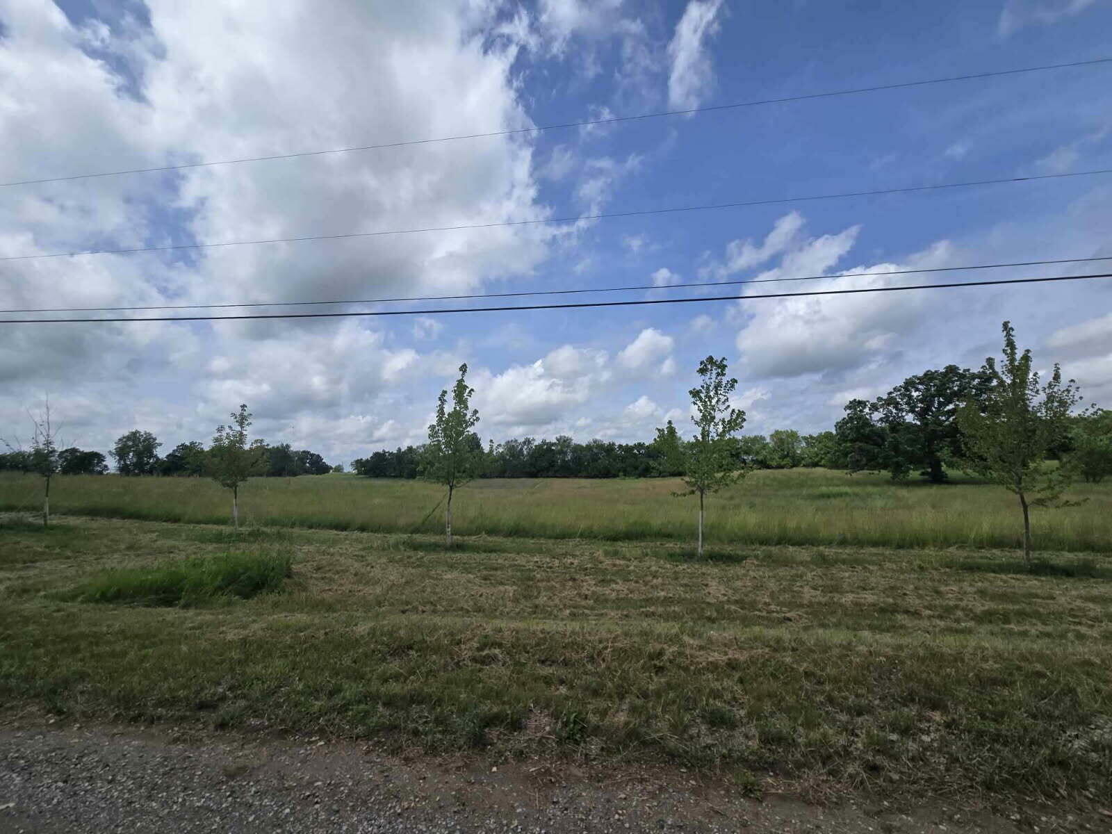 Property Photo: 0 Walkowe Lane MI 48158