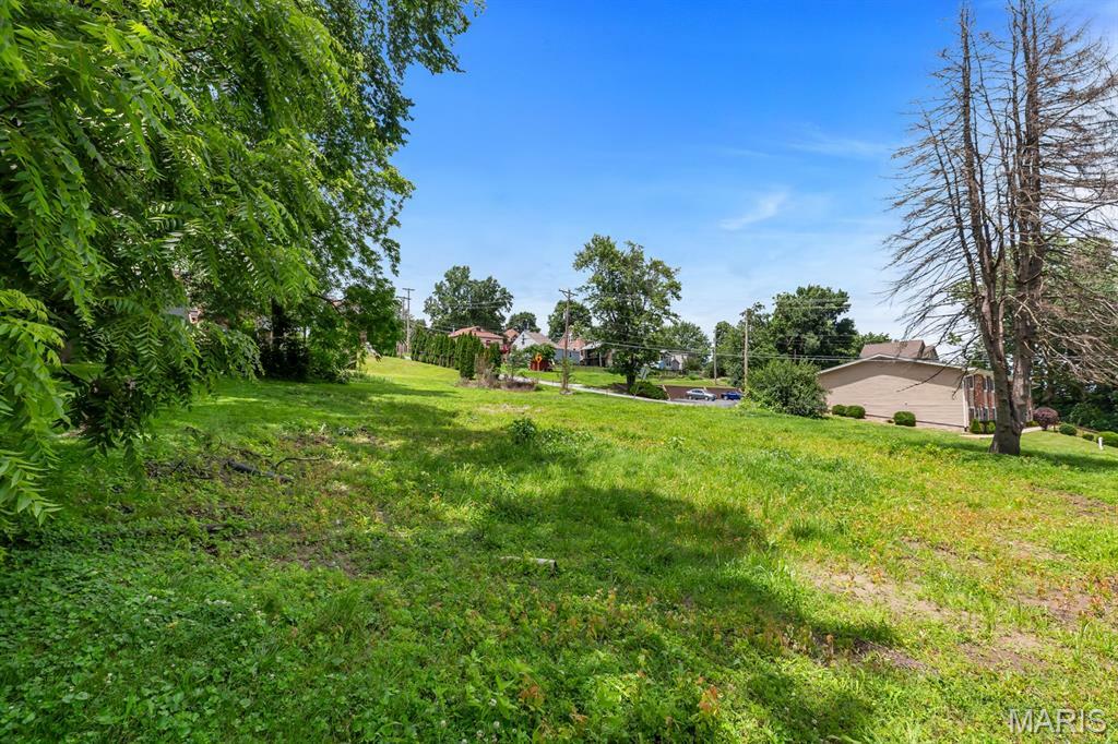 Property Photo: 1219 N 4th Street MO 63301