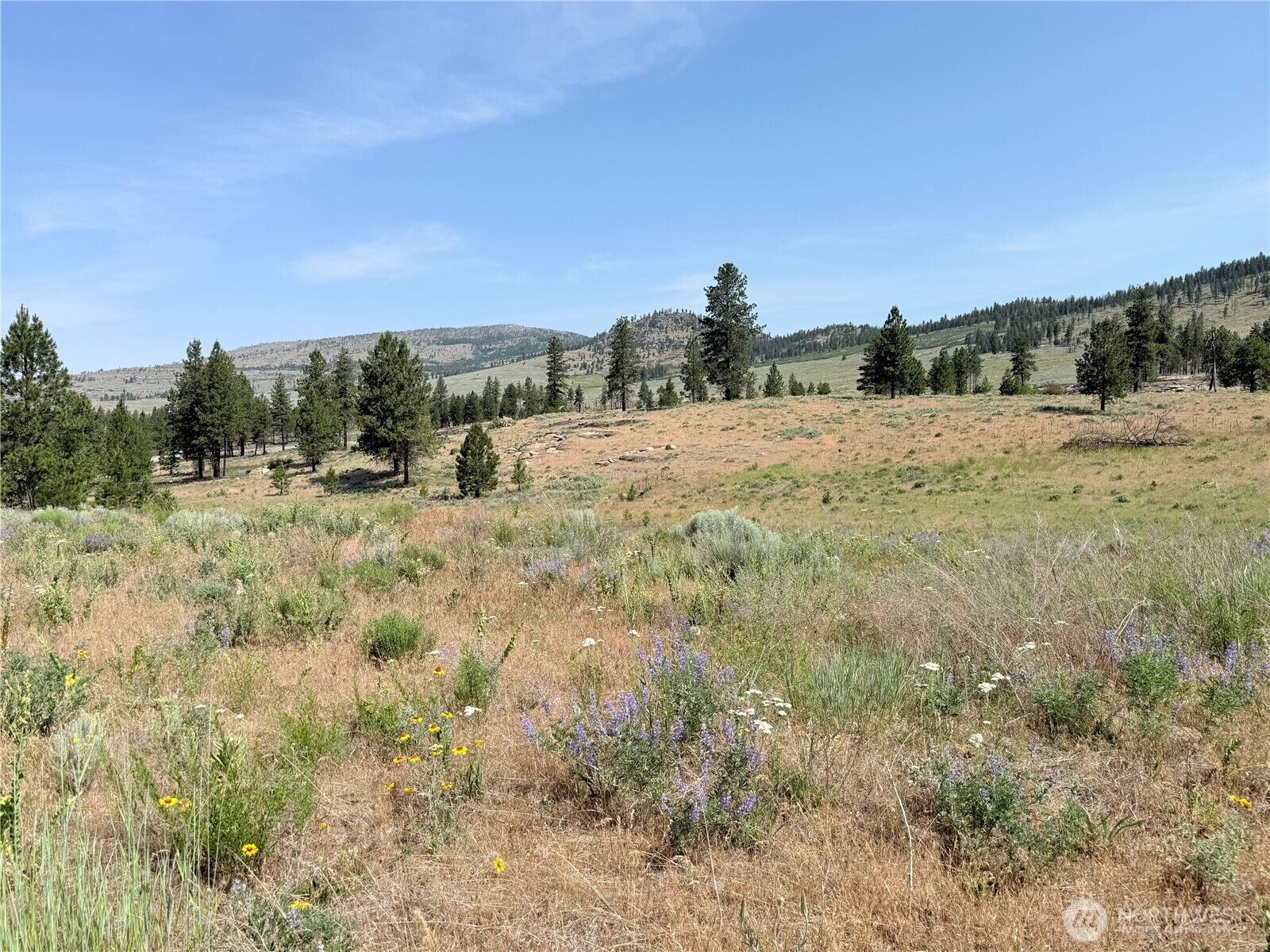 Property Photo: 22 Dutch Anderson Road WA 98841