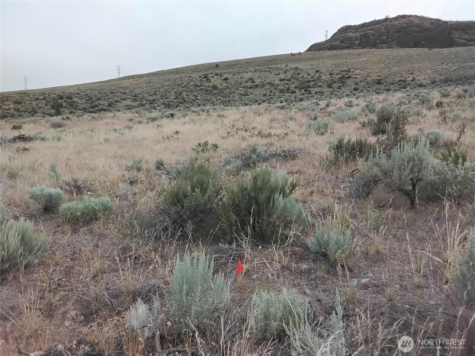 Property Photo:  0  Mount Olive Road  WA 98849 