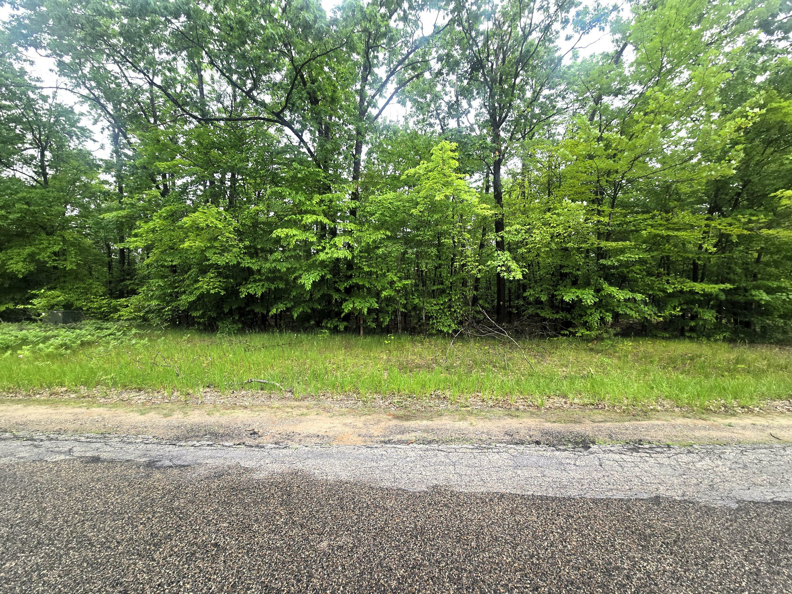 Property Photo:  Lot 413 Michaywe Drive  MI 49735 